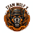 design modern cricket team pubg esports logo