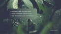 design your meta ad creatives