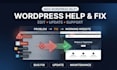 update, edit and maintain your wordpress website