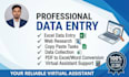 do excel data entry, web research and virtual assistant