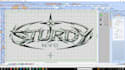 design custom embroidery digitizing logo for patch and cap