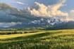 landscape oil painting art