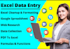 do expert data entry and microsoft excel data cleaning