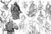 do your character sketch
