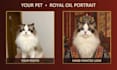 create a custom chinese royal pet portrait