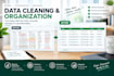 do data entry, data cleaning, web research and excel tasks