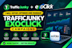 setup optimize and manage trafficjunky exoclick ad campaigns