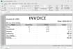 create professional excel invoice, sales report, stock sheet