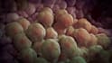 create 3d medical scientific animation biotech molecular explainer video