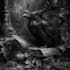 create dark fantasy illustrations