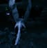 do any mod for valheim or any unity game