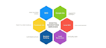 do professional SEO, google ads, facebook ads