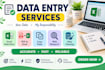professional data entry, excel and copy paste services