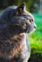 edit photos in adobe lightroom
