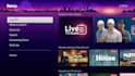 develop custom roku and amazon fire TV channels with source code