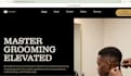 design a professional wix landing page or one page website