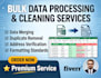 do expert excel data entry mis reporting and data cleaning