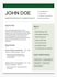 design modern profissional cv resume in canva