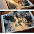 draw comic book illustration manga webtoon