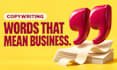 write persuasive website copy and landing page content
