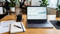 provide professional data entry and spread sheet management using  ai tools