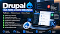fix drupal bugs, errors, module issues and broken pages