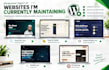 fix wordpress bugs errors and website problems