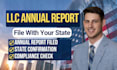 file your llc annual report and maintain good standing