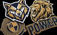 do custom embroidery patch digitizing in dst pes jef