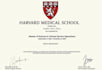 design diploma, transcript, high school, college, and degree certificates