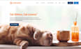 design wix cat sitting services website pet sitter website kitten care website