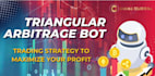 build crypto arbitrage bot, triangular arbitrage bot, and dex trading bot