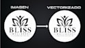 vectorizaré tu imagen o logo en illustrator