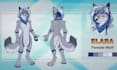 create furry reference sheet fursona ref sheet and furry character design
