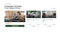 build a professional wordpress charity donation website