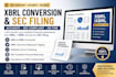 convert audited financial statements into xbrl for sec filing