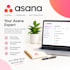 set up and automate your asana workspace