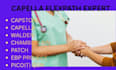 do chamberlain, walden, public health, capella, bsn, msn, dnp nursing