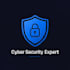 do website vulnerability assessment and fix security issues