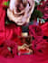 talking head ugc style content
