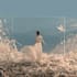 create a beautiful and dreamy album cover