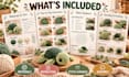 provide a beginner friendly crochet turtle pattern PDF