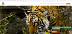 develop PHP and laravel website, cms, dashboard analytics