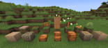 custom minecraft texture packs, items, blocks