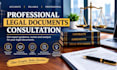 provide professional legal documents consultation