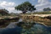 design your garden, backyard, patio, terrace 2d realistic landscape