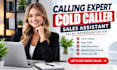 do calling expert cold caller sales assistant cold calling sales representative