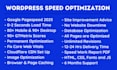 do wordpress speed optimization for google page speed insights