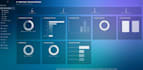build custom websites and software