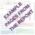 provide a professional human design chart reading